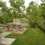 Paz Hinojedo