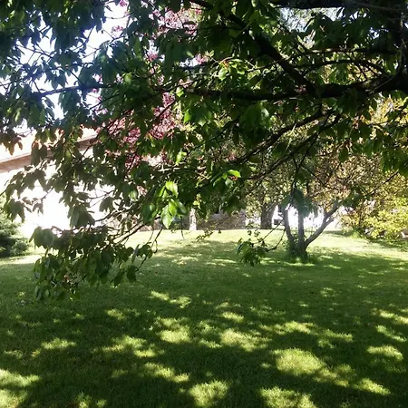 Paz Hinojedo