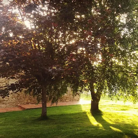 Paz Herberg Hinojedo