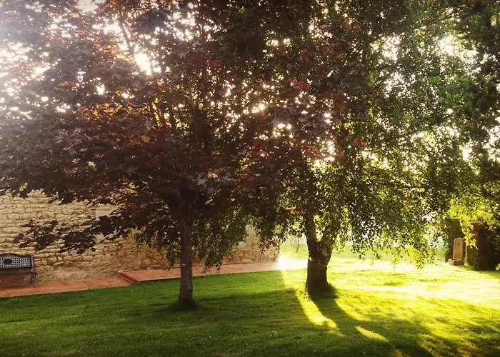 Paz Penzion Hinojedo